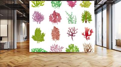 Seaweed set. Sea plants, ocean algae and aquarium kelp. Underwater seaweeds vector isolated collection Wall mural