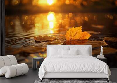 A single autumn leaf floating on a calm pond at sunset. Wall mural