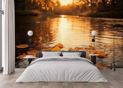 Golden leaves float on a calm river at sunset. Wall mural