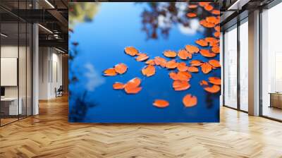 Orange leaves floating on a blue water surface. Wall mural