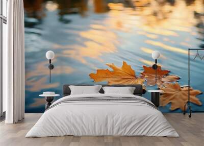 Three fallen maple leaves float on a blue water surface with blurred sunlit reflections. Wall mural