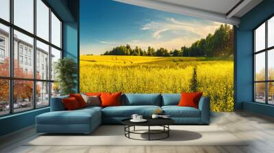 A blooming rapeseed field of bright yellow flowers, forest and sky. Wall mural