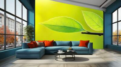 A branch with three green leaves is set against a bright yellow background, emphasizing natural growth and the beauty of simplicity.
 Wall mural