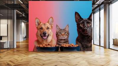 A cheerful dog and two cats sitting with bowls of pet food against a vibrant red and blue gradient background.

 Wall mural