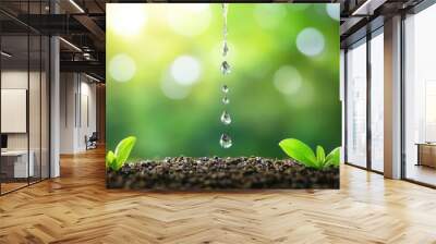 Serene Close-up of Water Droplets Dripping from Hose onto Soil with Copy Space for Text Wall mural