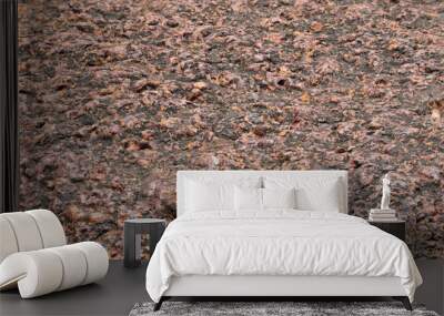 Close up of Red brown rock texture. Brown ground surface.Close up natural background.soil surface top view Wall mural