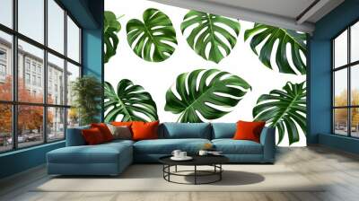 Monstera Deliciosa Leaves Isolated On White Wall mural