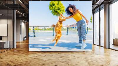 beautiful young woman with long dark curly hair with american cocker dog outdoors Wall mural