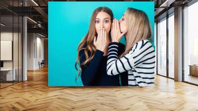 portrait of two young attractive happy girlfriends women with makeup eavesdrops whispers a secret (mystery) in the studio on a blue background. the concept of gossip and confidentiality Wall mural