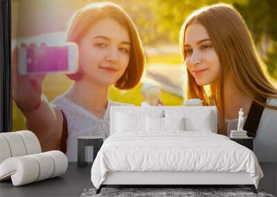 two beautifu best girlfriends schoolgirls ( student) do selfie on the phone in the park Wall mural