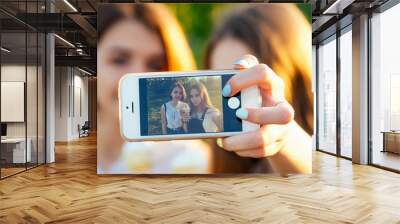 two beautifu best girlfriends schoolgirls ( student) do selfie on the phone in the park Wall mural