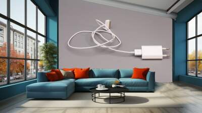 Electrical adapter to USB port on gray background Wall mural