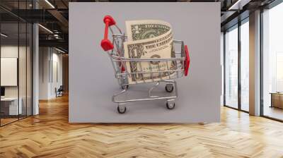 Shopping cart with one dollars on gray background Wall mural