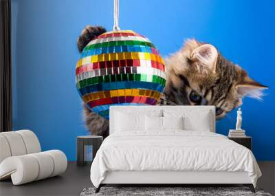 cat playing with disco ball Wall mural