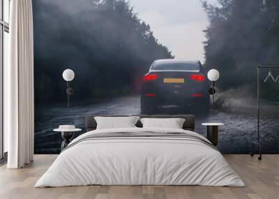 car rides on road in downpour Wall mural