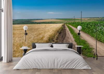 Earth road among maize and wheat agricultural fields in Ukraine Wall mural