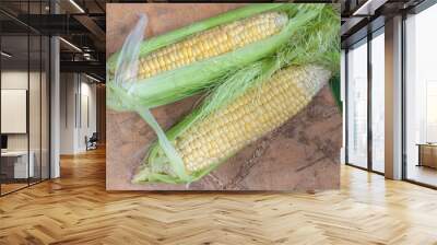 Top view on two organic corn ears lying on a wooden surface Wall mural