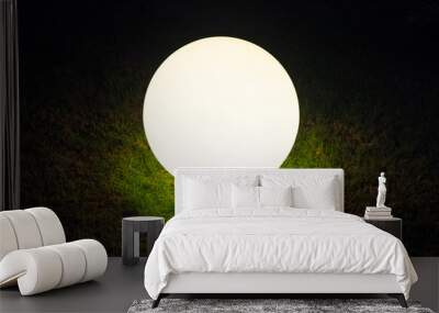 Glowing glass ball in the grass with black background Wall mural