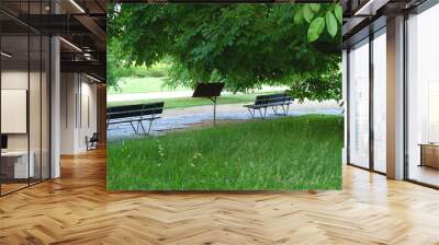 Two empty park benches below tree Wall mural