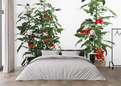 Decorative tomato on a white background in pots Wall mural