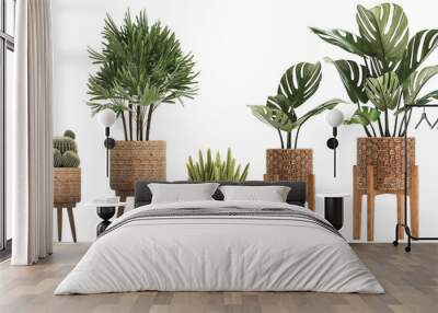 Exotic plants on a white background Wall mural