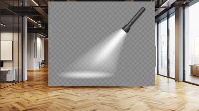 Flashlight on a transparent background. Shine lighting torch. Vector Wall mural