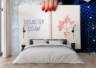 Business concept meaning DISASTER LOAN with inscription on the piece of paper. Wall mural