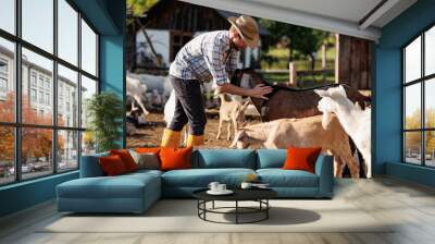 Male farmer taking care of his cute goats. Young rancherman getting pet therapy. Animal husbandry for the industrial production of goat milk dairy products. Agriculture business and cattle farming. Wall mural