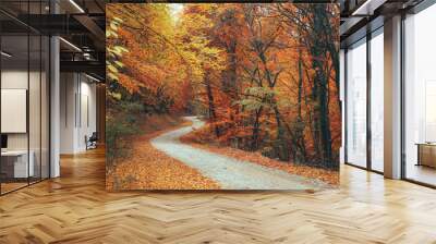 Beautiful autumn forest mountain path Wall mural