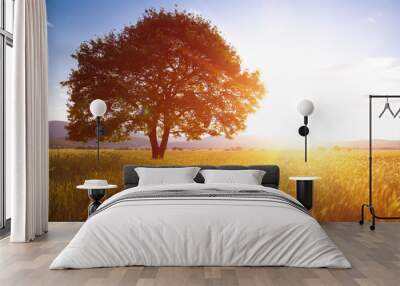 Lonely tree against a blue sky at sunset. Wall mural