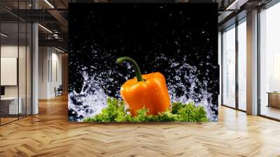 Studio shot with freeze motion of peppers in water splash on bla Wall mural