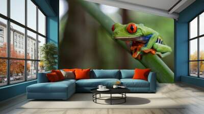 green tree frog Wall mural