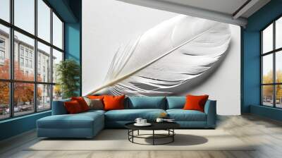 Delicate white feather isolated on a clean white background, ideal for minimalist and soft-themed designs. Wall mural