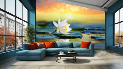 beautiful white water lily on the lake at the sunset Wall mural