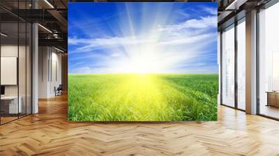 sparkle sun rising in a green field Wall mural