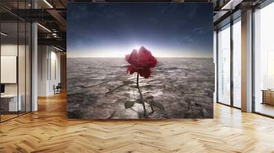 Desert flower Wall mural