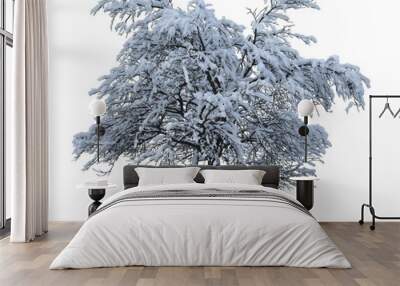 Winter tree isolated Wall mural