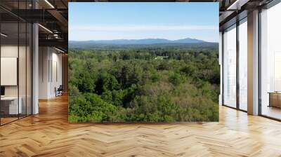 scenic view of catskill mountains panorama of catksills moutain hills (trees forest upstate new york travel destination hiking biking) scenic overlook vista ultrawide layered nature beauty landscape Wall mural