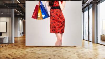 Beautiful sexy caucasian woman in stylish dress with shopping ba Wall mural