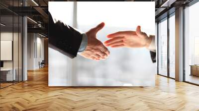 Two business men shaking hands, close up Wall mural