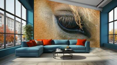 Macro image of the horse's eye and mane. This is chestnu draught horse grazing on the meadow near farm in Basque Autonomous Community. Basque country in summer day. No people.  Wall mural