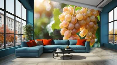 A bunch of dewy grapes glistening in the sunlight, hanging on a vine surrounded by fresh green leaves. Wall mural