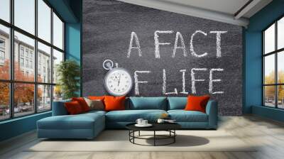 a fact of life watch Wall mural