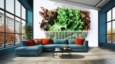 salad in a plastic container Wall mural