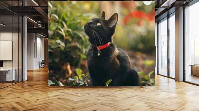 A garden setting where a black cat with a red collar is seated on the ground Wall mural