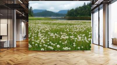 A lush mass of clover, dandelions, and grasses, lightly moistened from recent rain, lines the harbor boardwalk at Alert Bay, BC, Canada Wall mural