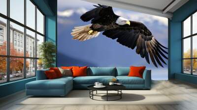 An eagle soars through the sky. Wall mural