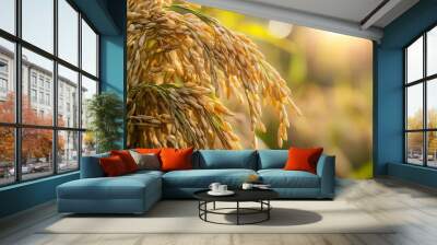 An organic paddy rice grains background features a rich, natural texture of uncooked rice grains. Wall mural