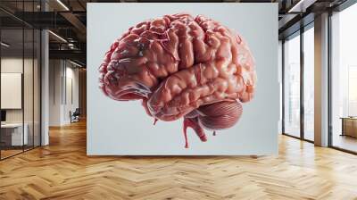 Human Brain Anatomy Wall mural