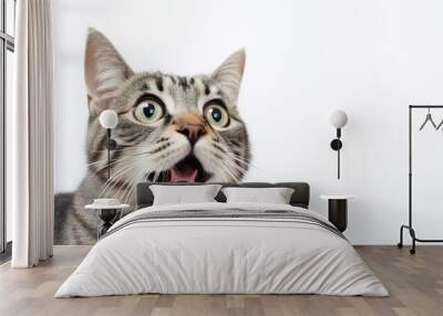 Crazy surprised cat pets close-up.AI generated image Wall mural